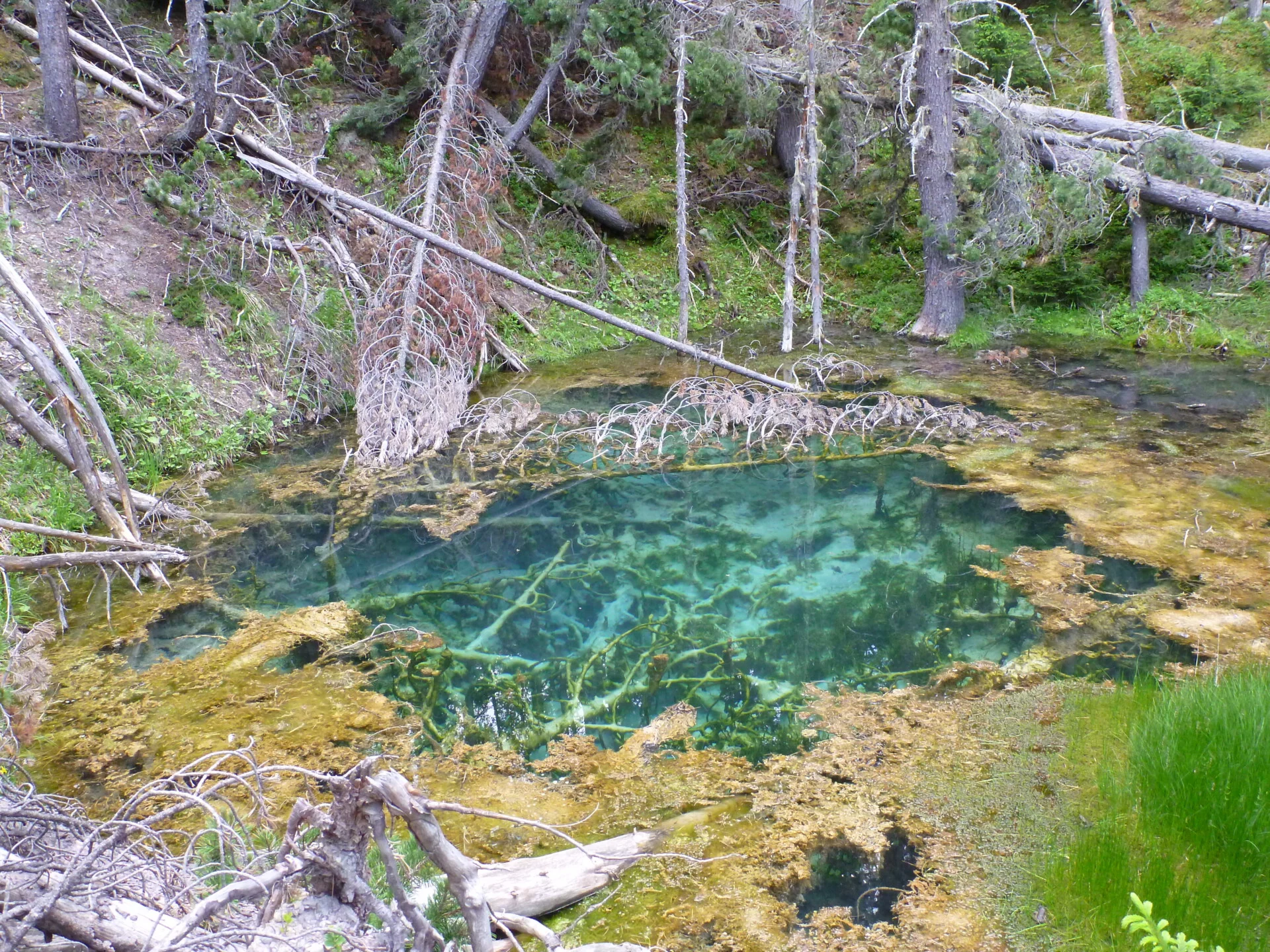 Quellteich Munt La Schera SNP (Foto © Verena Lubini)