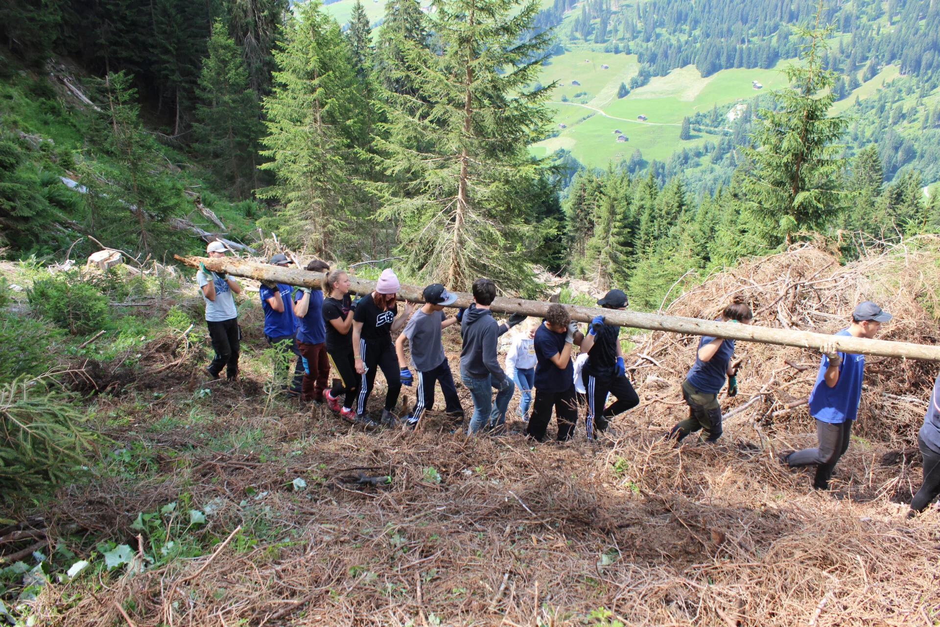 Jugendliche im Einsatz für die Natur (Foto © Bergwaldprojekt)