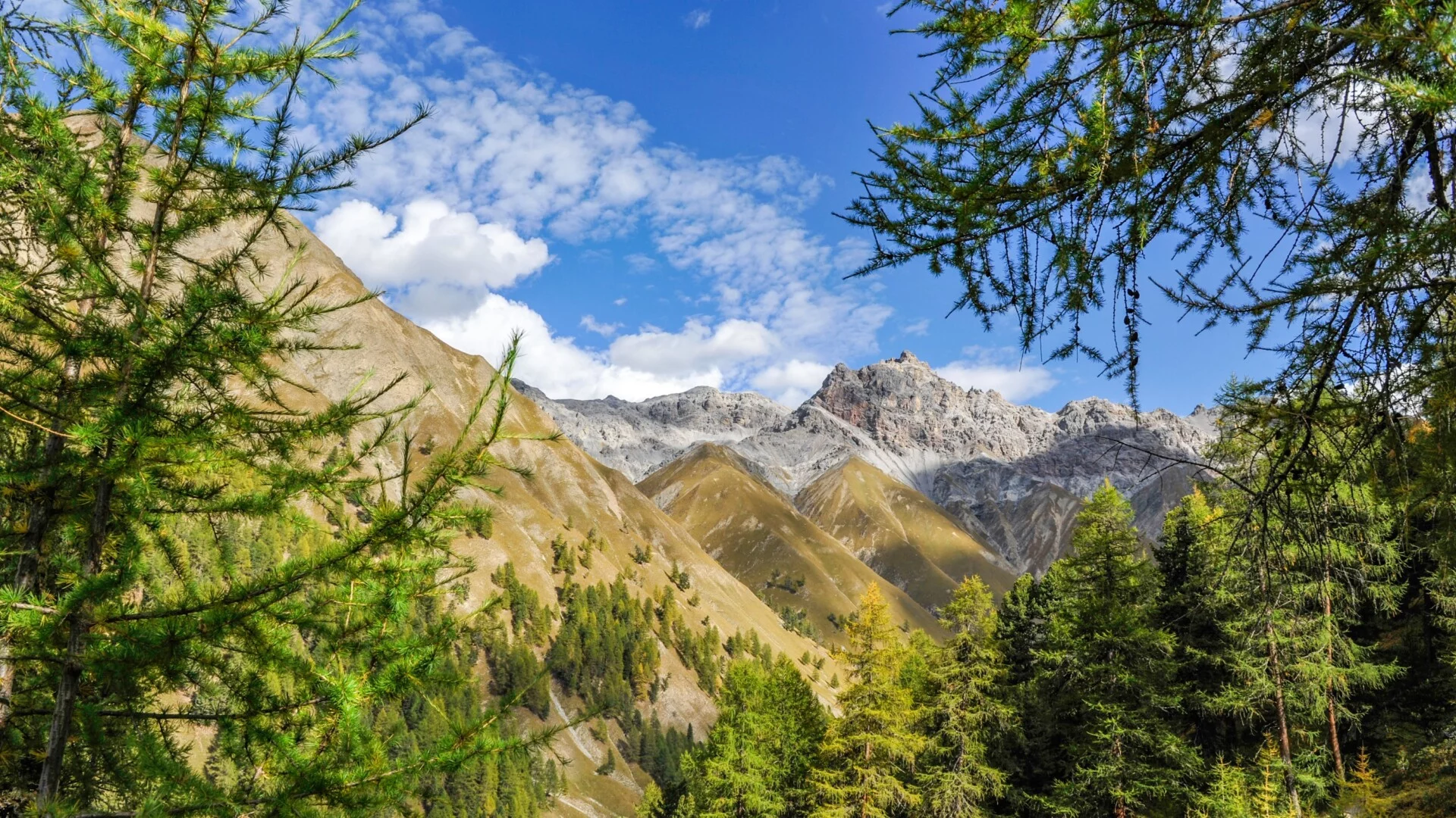 Schweizer Nationalpark (Foto © Hans Lozza)