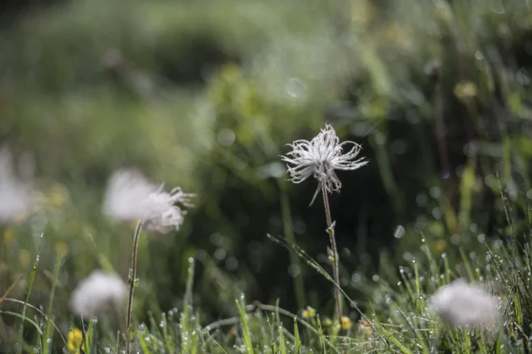 Foto © Mayk Wendt